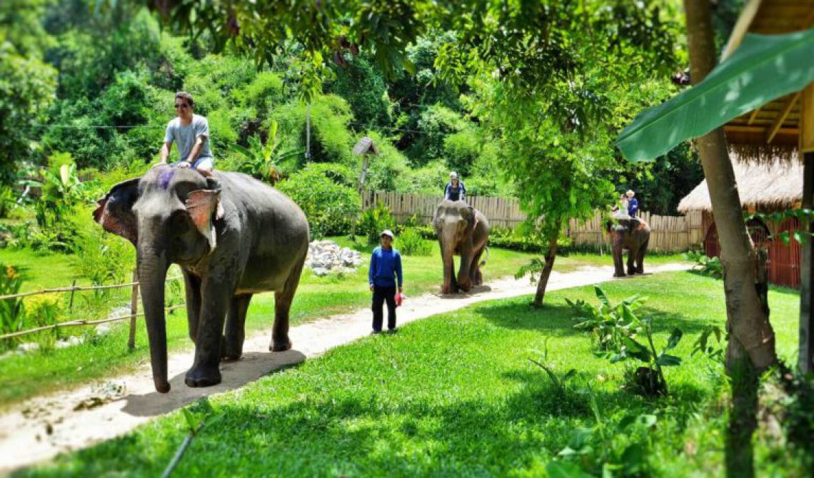 Day 5: Pakbeng – Mekong Elephant Park Of Pakbeng – Muang Xai (Breakfast)